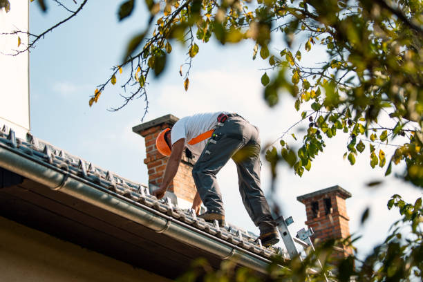 Best Storm Damage Roof Repair  in St Joseph, MN