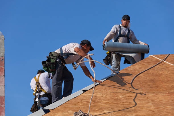 Best Roof Gutter Cleaning  in St Joseph, MN