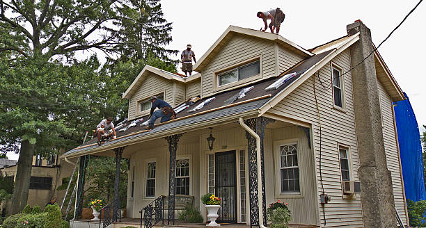 Best Metal Roofing Contractor  in St Joseph, MN