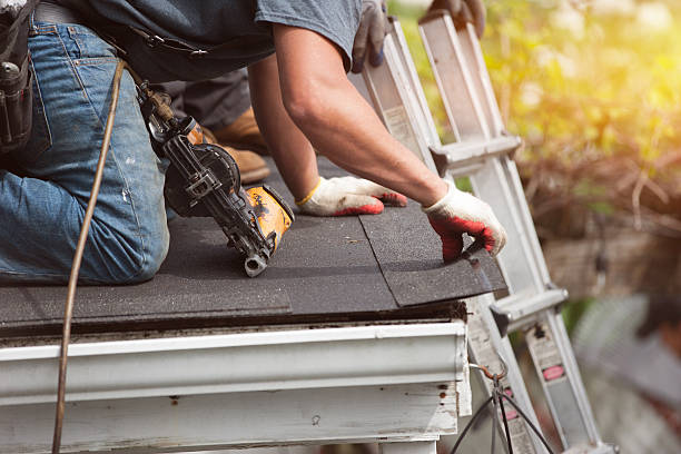 Roof Gutter Cleaning in St Joseph, MN