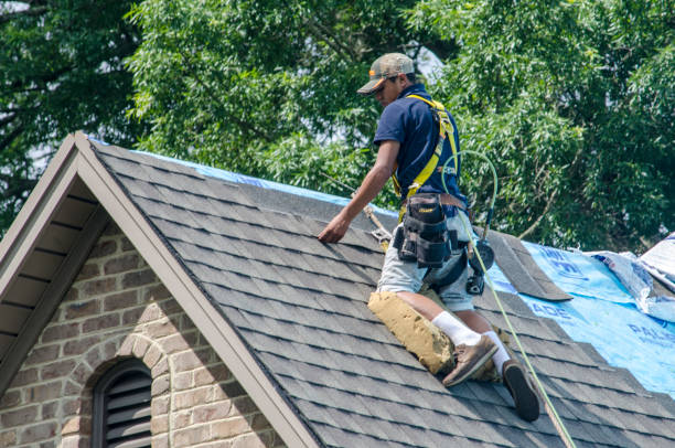 Best Residential Roofing Contractor  in St Joseph, MN